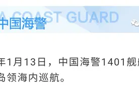 中国海警舰艇编队在我钓鱼岛领海巡航图片