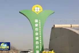 高密市：建好粤港澳大湾区“菜篮子”生产基地 助推现代农业快速健康发展视频封面