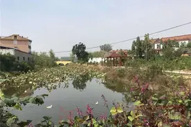废坑塘改造利用增加村集体收入 鹿邑县马铺镇“硬核”举措扮靓美丽乡村图片