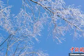 四川古蔺：寒潮下的绝美山区雪景图片