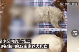 异烟肼毒狗无罪？劝你好自为之图片
