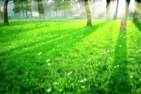 青岛市2021年征兵宣传手册图片