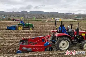 农业机械化，乡村产业振兴的“利器”——甘肃省特色产业农机化发展走笔图片
