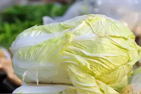 寒冬白菜乃“良药”，切记要贮存得当、不食隔夜菜图片