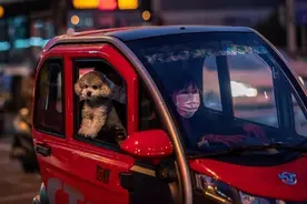 步步惊心！老年代步车“灰色地带”该管管了图片