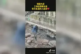 乐山“独腿硬汉”感动全国，谢绝他人捐赠，靠自己努力生活下去图片