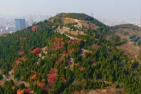 Vlog丨低头是苍翠 抬眼是繁华 闪电记者带你提前打卡济南五顶茂岭山公园图片