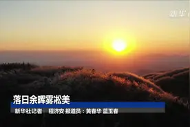 落日余晖雾凇美视频封面
