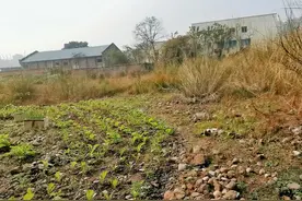 云投诉 | 四川泸州5万居民“心头病”：公立学校规划七年未开工图片