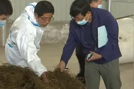 实施人才引育工程　培养新时代的大学生“羊倌”视频封面