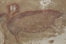45500年前的猪！印尼发现世界上最古老的洞穴动物壁画图片