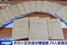 74人被查处！黑龙江哈尔滨老旧小区改造涉嫌造假图片
