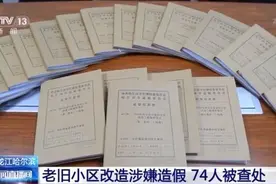 74人被查处！黑龙江哈尔滨老旧小区改造涉嫌造假图片