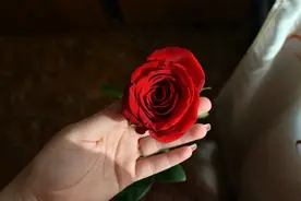 一课译词：易如反掌图片