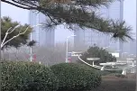 31秒｜东营市广饶县发布大风降温天气预报视频封面