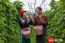厉害了！海口这对夫妻种菜，一不小心成了“瓜菜管家”图片
