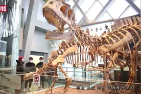 “恐龙之乡”江西赣州发现7000万年前窃蛋龙孵卵化石视频封面