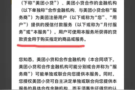 观察｜点个外卖就“被贷款”？互联网平台授信付款流程合理吗图片