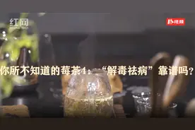 你所不知道的莓茶图片