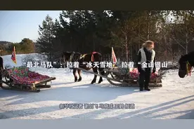 “最北马队”：拉着“冰天雪地” 拉着“金山银山”视频封面