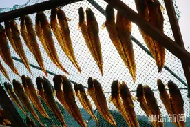 墨城年味儿③｜割腌洗晒 小山村晒出鱼片大产业图片