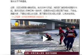 沈阳一对母子掉入浑河 母亲不幸遇难图片