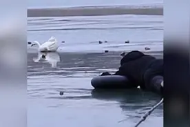 大鹅被冻住，男子找来轮胎绳子冰面救援视频封面