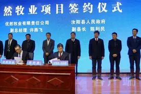 总投资43.8亿元！汝阳县集中签约5个重大项目图片