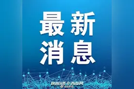 铁路部门紧急加开西安北至上海虹桥高铁列车2对图片