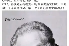 广美教授回应抄袭米菲兔指称：一切商业符号都是艺术创作语言图片