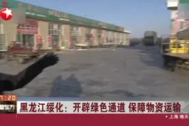 黑龙江绥化：开辟绿色通道  保障物资运输视频封面