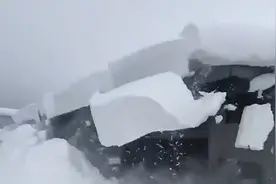 日本男子用竹竿铲屋顶的雪 结果大面积积雪掉下似雪崩图片