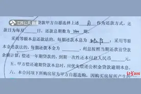 罕见！房贷还了7年1分本金未少，房贷竟有“先息后本”？图片