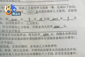 出租房每天上演人鼠大战，姑娘感叹快晕倒了图片