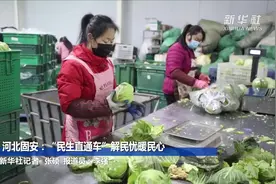 河北固安：“民生直通车”解民忧暖民心视频封面