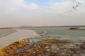 冬日暖阳普照，济南龙湖湿地沉砂池美景如画图片