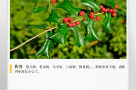 湖湘自然历丨来者不善！调皮的小朋友小心了图片