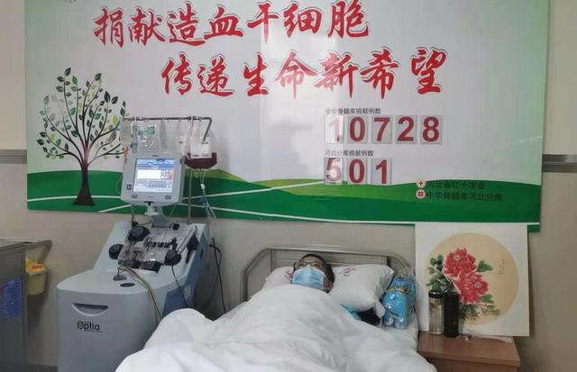 如果不能按时移植，人很容易就没了，"造血干细胞"从石家庄到北京：疫情下的一场生命接力