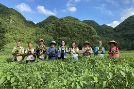 贵州南山婆集团董事长包爱明：南山婆的良心与雄心图片