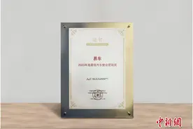 易车获颁“2020汽车数字化营销平台奖”做数字化营销的实战派图片