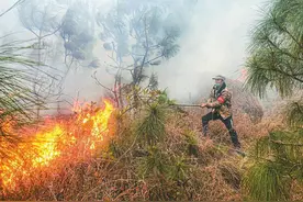 森林眼 蓄水池 防火道 防火码——“互联网＋”助力防控森林火灾图片