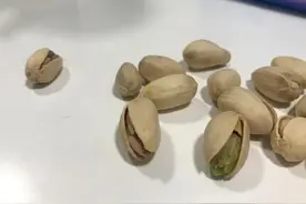 吃开心果有什么好处？营养专家告诉你图片