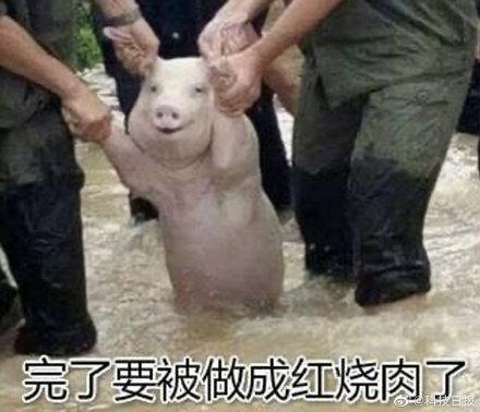 猪肉为什么会有腥味？