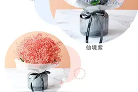 鲜花干花和永生花小知识图片