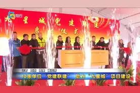 12家单位“党建联建”助力“九星城”项目建设视频封面