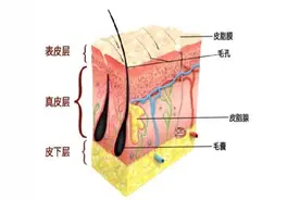 皮肤也有“皮肤”？医生教你科学防治冬季皮肤瘙痒图片