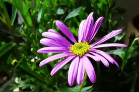 人这一生，遇到谁不重要，重要的是自己努力做一个好人图片