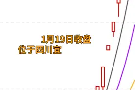 中国财富报道｜10连板！今年“第一妖”横空出世视频封面