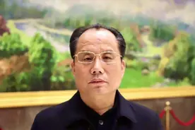 刘海科：借鉴太极申遗经验 助力少林功夫申遗成功图片