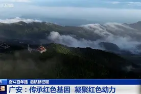 四川新闻联播 | 广安：传承红色基因 凝聚红色动力图片